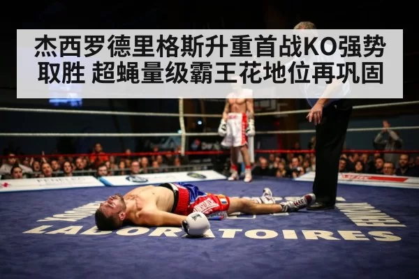 boxing knockout