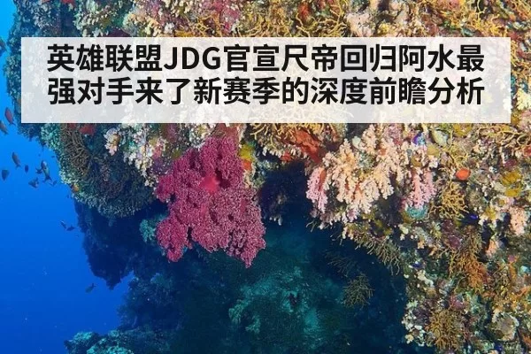 英雄联盟JDG官宣尺帝回归阿水最强对手来了新赛季的深度前瞻分析